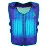 AlphaCool Arctic Cooling Ice Vest with Self-Fill Reusable Ice Packs
