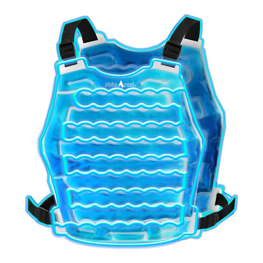 ICED WATER VEST 完全セット Fサイズ S*様 ICED WATER VERTICAL VEST Fサイズ - メルカリ